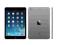 iPad Mini Retina 16GB