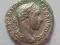 DENAR ALEKSANDER SEVER ŁADNY