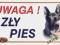 Tabliczka  UWAGA ZŁY PIES ! OWCZAREK NIEM KRÓTKOWŁ