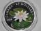 $20 Srebro Kanada water lily (2010)