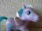 My little Pony Hasbro Kucyk