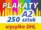 PLAKATY A2 250 szt - 48h - SUPER JAKOŚĆ PLAKAT