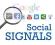 2000+ Social Sygnały -Twitter Facebook G+ Link Pin