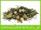 Herbata zielona SENCHA MADAME GINKGO 25 g