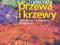 Drzewa i krzewy 320 drzew krzewów do ogrodu atlas