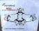 QUADOKOPTER MINI-UFO BLAXTER X80
