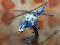 ITALERI HELIKOPTER BO 105 POLICIA SPAIN 1:100