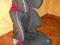 Fotelik samochodowy 15-36 kg Romer Vip Britax