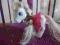 My little pony biały różyczka