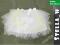 Breeze SPÓDNICZKA tutu TIUL biała 134 G922 NOWOŚĆ