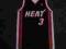 magnes na lodowke nba MIAMI HEAT lebron