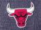 magnes na lodowke chicago bulls nba jordan