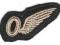 Anglia-naszywkaRAF   3107