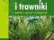 Trawy i trawniki uprawa gatunki Kozłowska