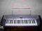 Keyboard Casio CTK-230