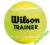 PIŁKA TENISOWA WILSON TRAINER TENIS ZIEMNY 1 SZT