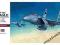 ! F-15C Eagle 1:48 Hasegawa PT49 !