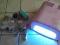 Różowa Lampa UV + Gratisy!!!