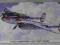 Lockheed P-38 J/L Lightning - HASEGAWA 1:48
