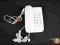 8181-14 ...... BIALY TELEFON STACJONARNY CLASSIC
