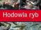 Hodowla ryb budowa zakładanie stawów rybnych