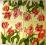 Serwetki do decoupage-2szt -TULIPANY-  NR 426
