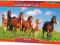 ! Puzzle 4000 Castorland C-400034 Paso Fino Herd