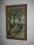 DRZEWA !! OBRAZ !!  POLECAM !!