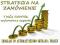 STRATEGIA FOREX DLA MT4 ROBOT EA na zamówienie ji6