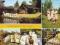 NIEMCY - SPREEWALD - KOBIETA - FOLKLOR - STROJE