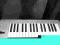 Klawiatura sterujaca MIDI Roland Pc-160a Stan BDB
