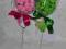 Prezent Lizak BODY! Narodziny,Chrzest, Baby Shower
