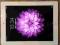 Apple iPad 3 WiFi+4G Cellular Retina 32GB Biały