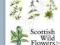 SCOTTISH WILD FLOWERS Michael Scott