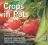 CROPS IN POTS: PRACTICAL GUIDE, EXPERT ADVICE