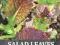 SALAD LEAVES FOR ALL SEASONS Charles Dowding