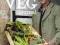 CHARLES DOWDING'S VEG JOURNAL