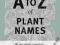 A TO Z OF PLANT NAMES Allen Coombes