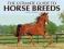THE ULTIMATE GUIDE TO HORSE BREEDS Fitzpatrick