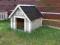 Ocieplona Buda dla Psa Marki pod Warszawą