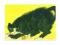 Pocztówka - Czarnożółty chiński kocur / kot, obraz