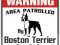 TABLICZKA UWAGA PIES - boston terrier - WARNING !