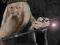 Świecąca Czarna Różdżka Albus Dumbledore