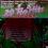 20 Top Hits - Video Killed Radio Star - Gimme!  LP