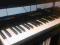 Yamaha YS-200 ( jak TX81Z / DX21 / DX100 / FB-01 )