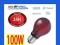 Zoo Med NIGHT RED 100W  żarówka GRZEWCZA nocna glo