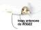 Trapy Antenowe do W3DZZ f-7.100 MHz / 300watt CW