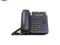 polTel Yealink SIP-T19P - 1 konto SIP