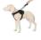 Patento Pet Szelki Jockey XL czarne K-22-92