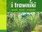 Trawy i trawniki. Gatunki, uprawa, pielęgnacja - E